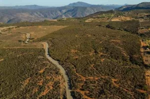 Twisty Roads to the Park