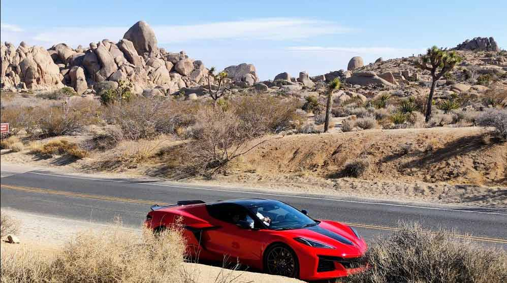Joshua Tree Weekend Excursion