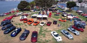 MSA Photo Video Album