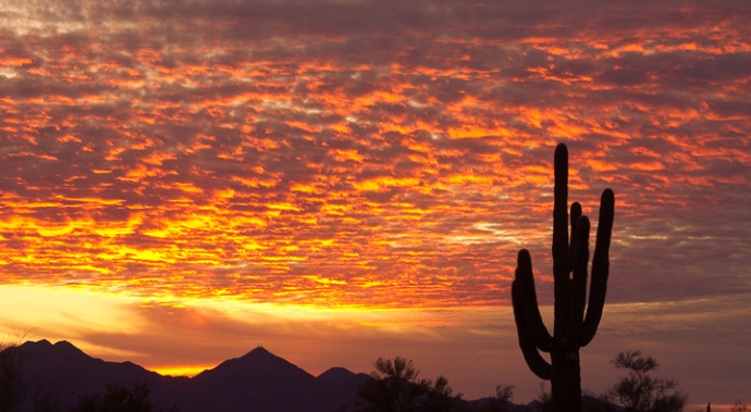 Sun Rise Over the Desert